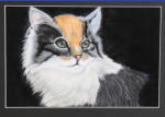 Katzenporträt, Pastellkreide, 20x30cm